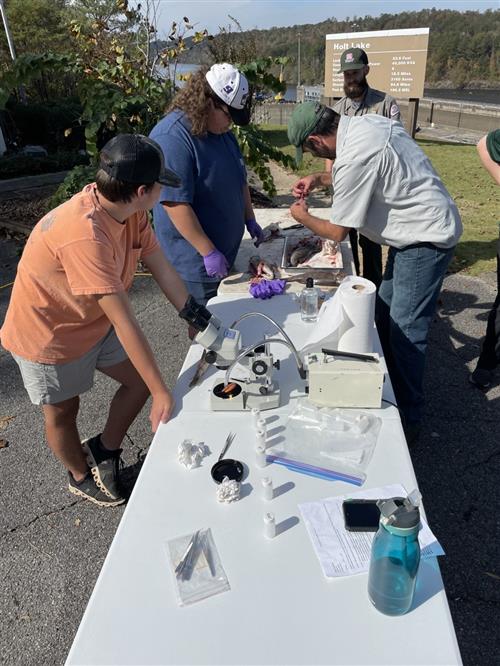 Each year we partner with various agencies like Tuscaloosa Farmers Federation, USDA, NRCS and host programs for FFA members. 